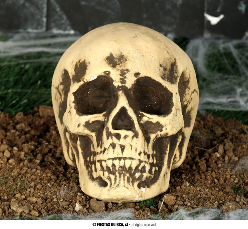 Halloween Decoratie Schedel 22 cm                      