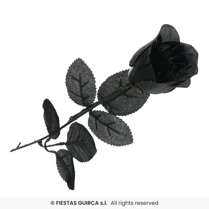 Zwarte Roos 42 cm