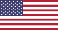 Vlag USA 150 x 90 cm