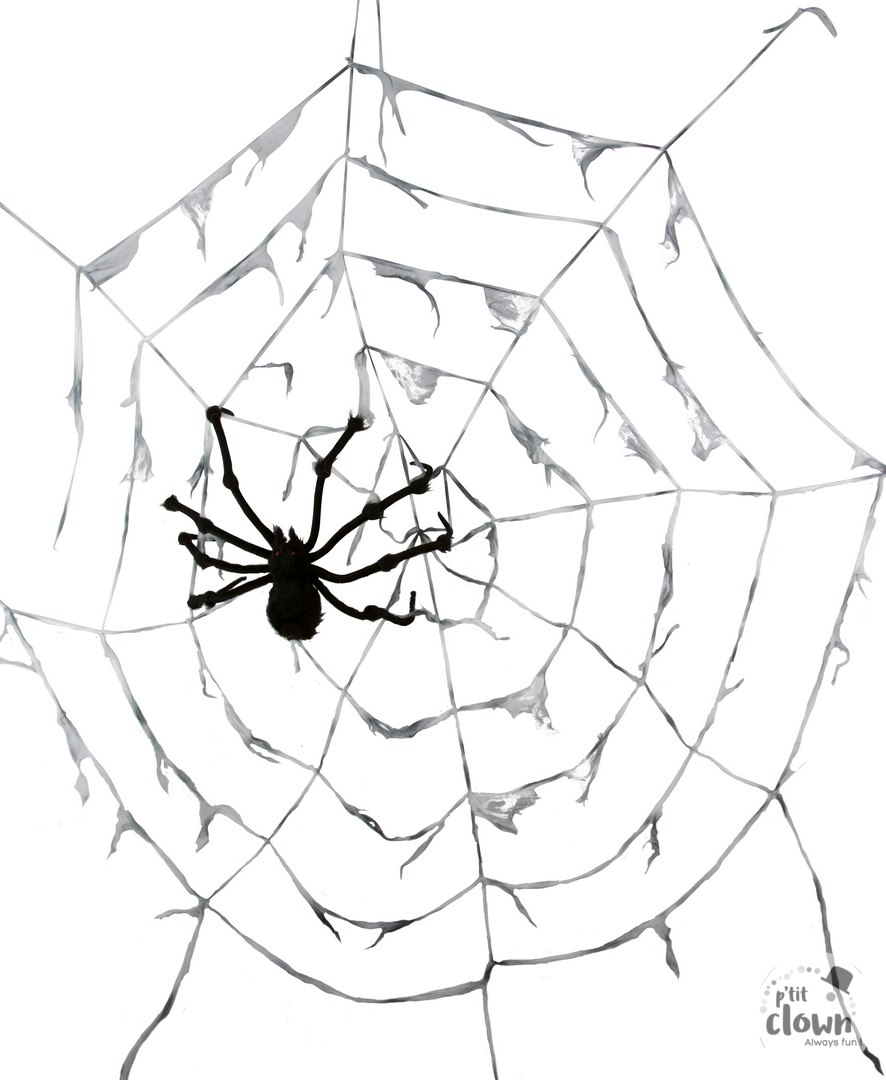 Zwart Spinnenweb met Spin 290 cm