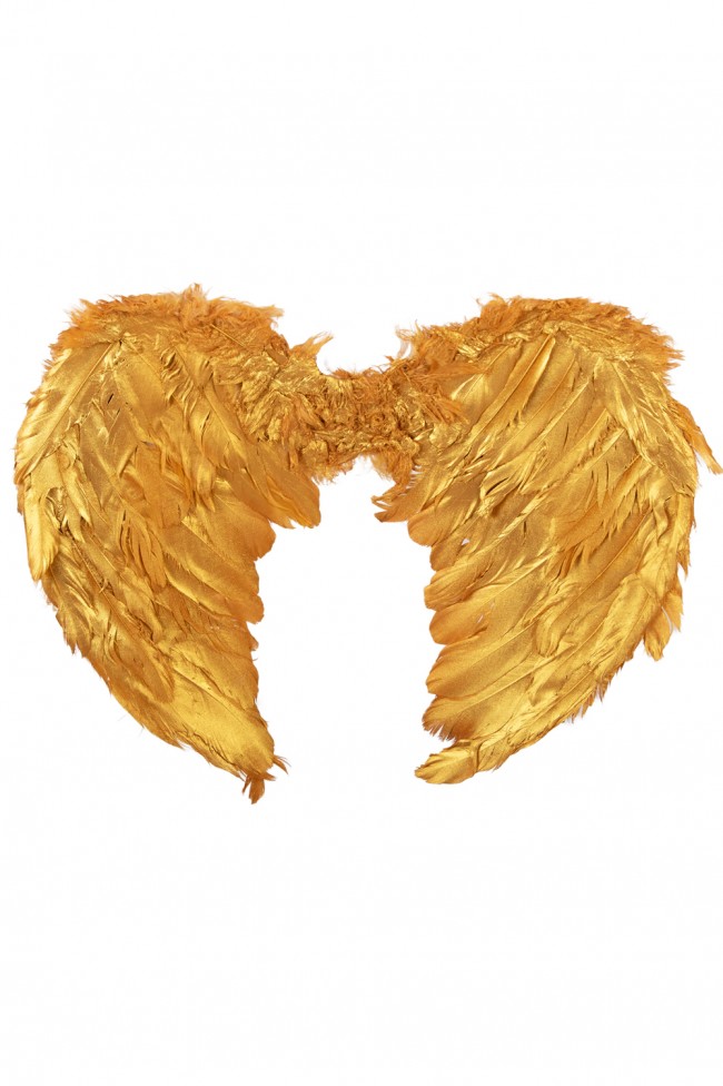 Engelen Vleugels Goud