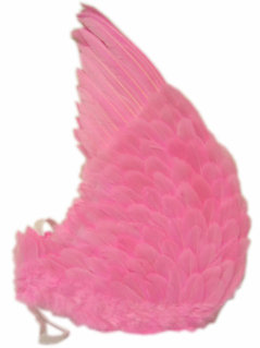 Engelen vleugels van roze veren