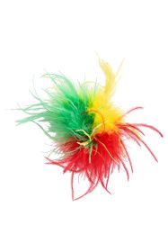 Broche Carnaval Rood-Geel-Groene Veren